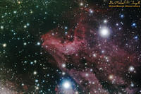 IC5070 - The Pelican Nebula - 100711
