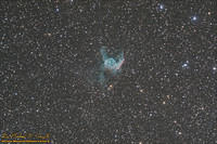 NGC 2359 - Thor's Helmet - 110207